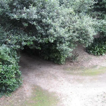 Garden Venezia Villa