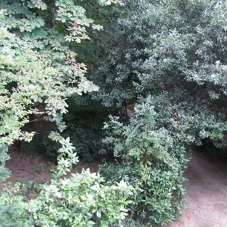 Garden Venezia Spinea
