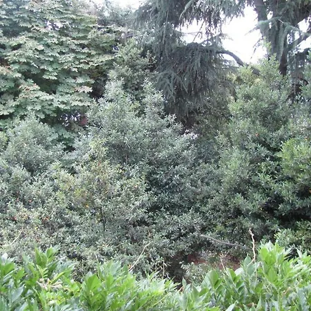 Garden Venezia