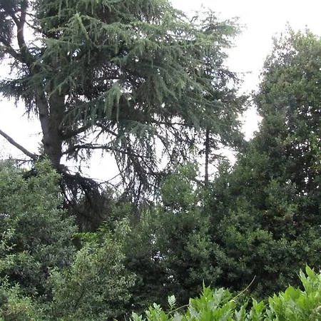 Garden Venezia *