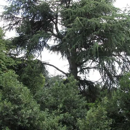 Garden Venezia