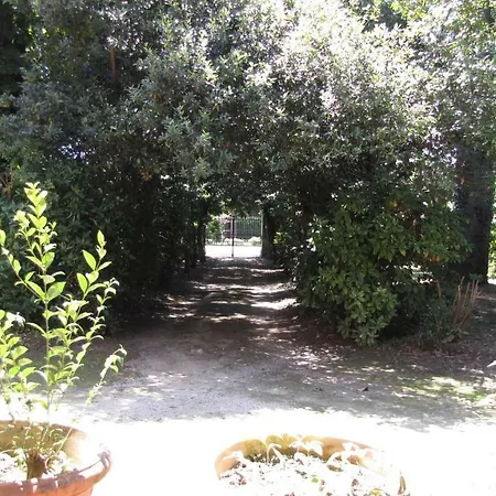 Garden Venezia *