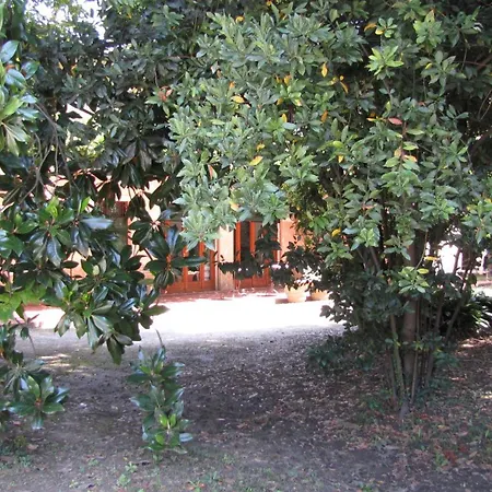 Garden Venezia Spinea
