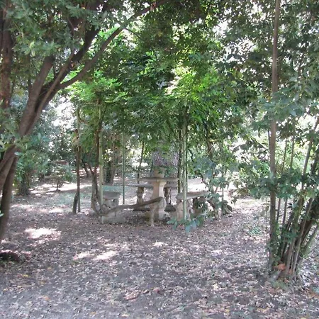 Garden Venezia Villa Spinea